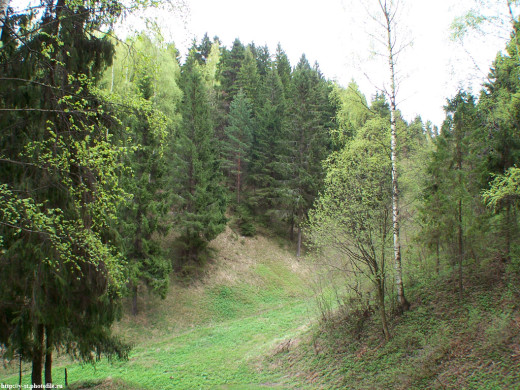 29391 (a): :1024x768